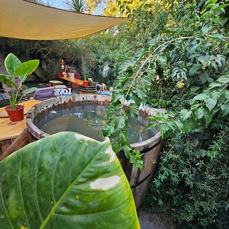 La Araucaria Cabana Con Tinaja San Felipe Exteriör bild