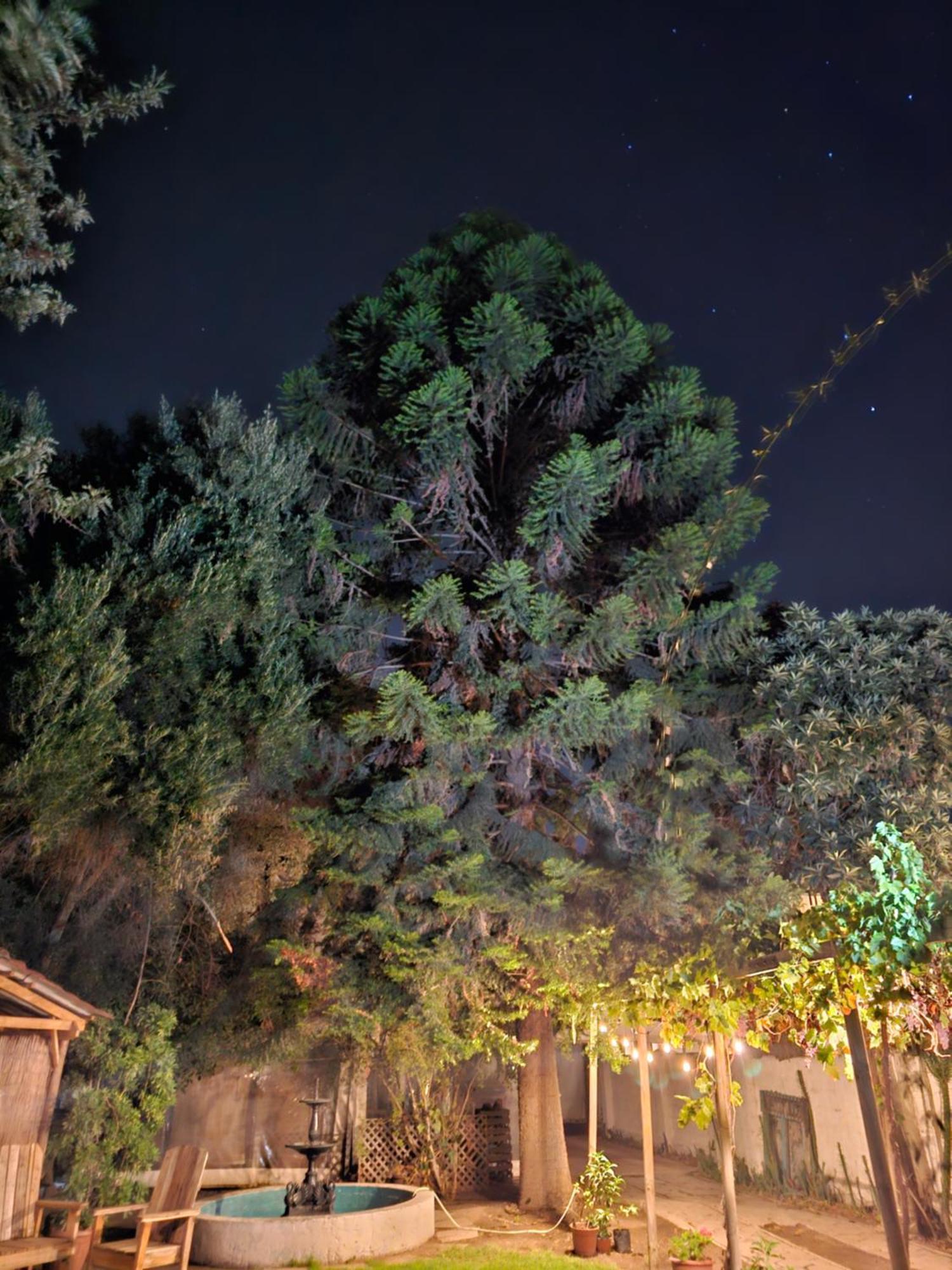 La Araucaria Cabana Con Tinaja San Felipe Exteriör bild