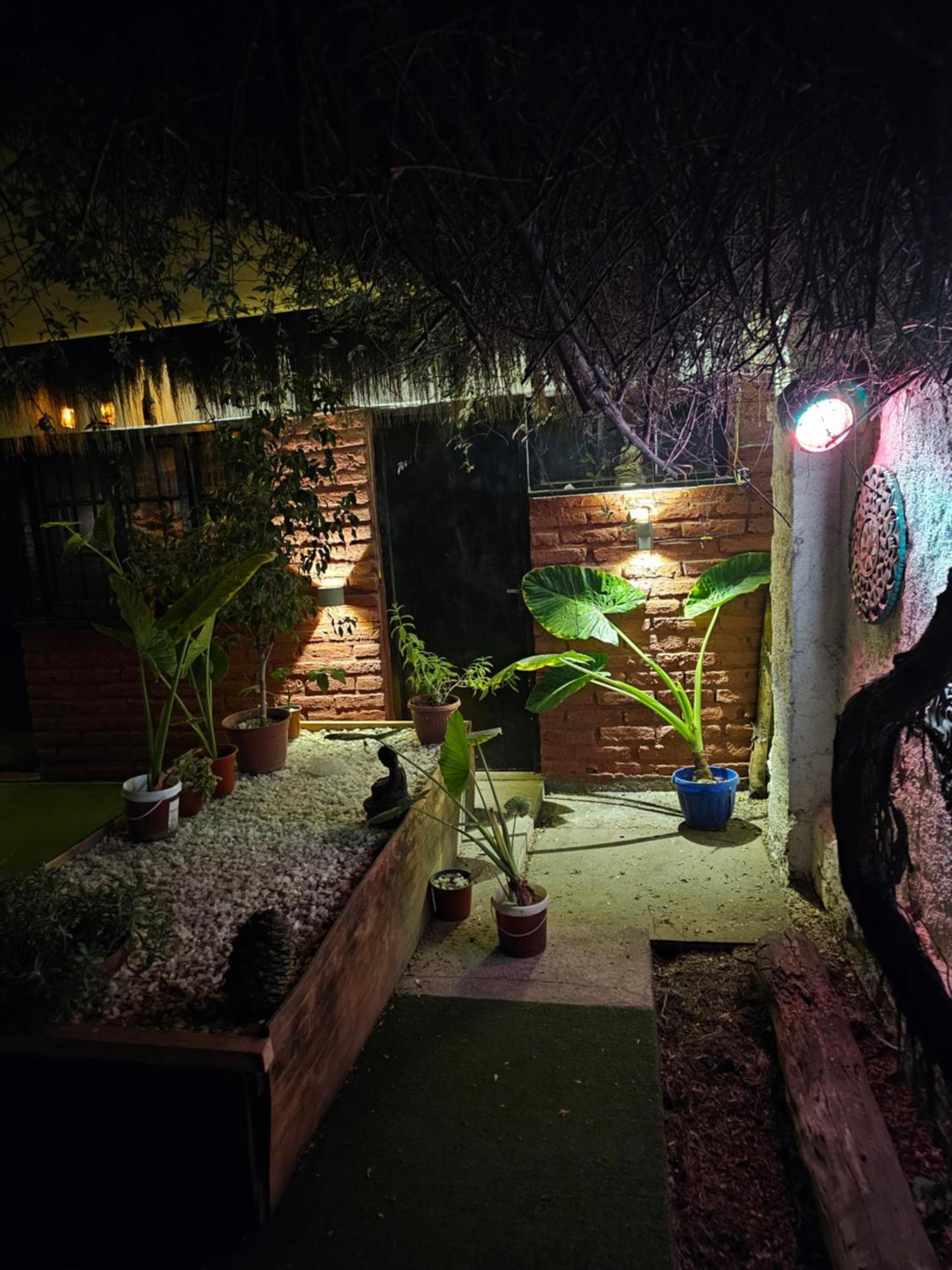 La Araucaria Cabana Con Tinaja San Felipe Exteriör bild