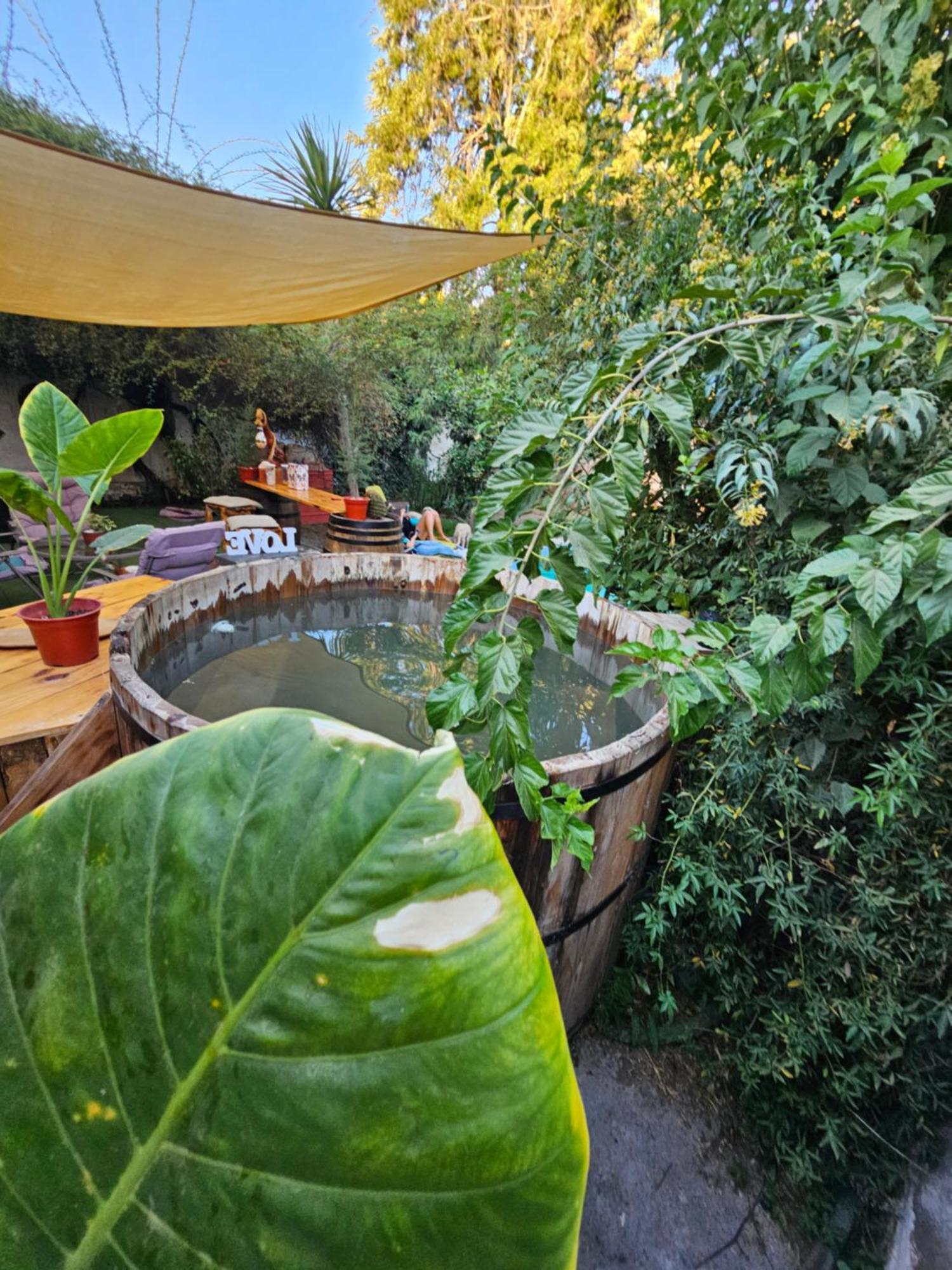 La Araucaria Cabana Con Tinaja San Felipe Exteriör bild