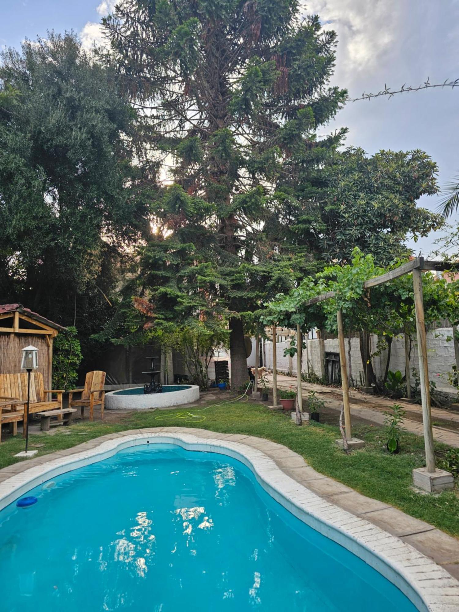 La Araucaria Cabana Con Tinaja San Felipe Exteriör bild